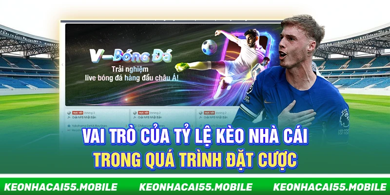 Kèo Nhà Cái ⭐️ Trang Soi Kèo Nhà Cái 5, Kèo Bóng Đá Mới Nhất 2026 22 Vai trò của tỷ lệ kèo nhà cái trong quá trình đặt cược