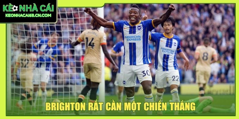 Brighton rất cần một chiến thắng