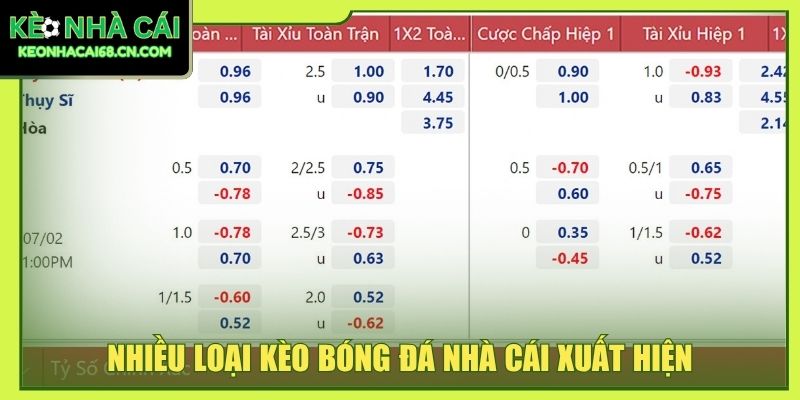 Chọn Kèo Bóng Đá Nhà Cái: 3+ Kinh Nghiệm Săn Kèo Thơm 2 Nhiều loại kèo bóng đá nhà cái trên bảng thông tin