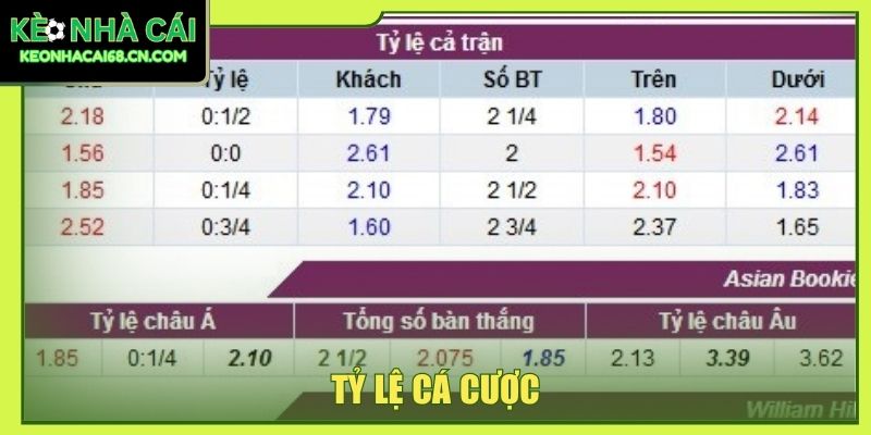 tỷ lệ cá cược